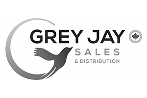 Grey Jay